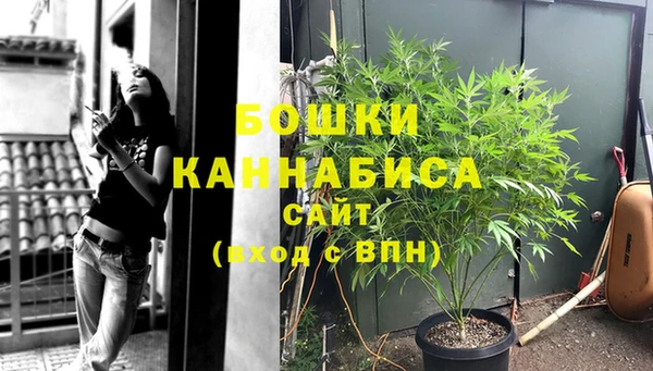 индика Касимов