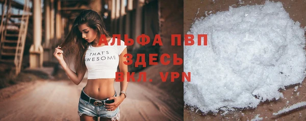 индика Касимов