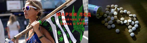 индика Касимов