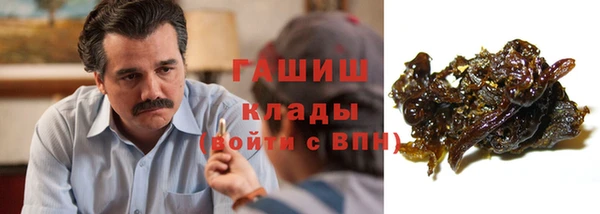 индика Касимов