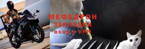 индика Касимов