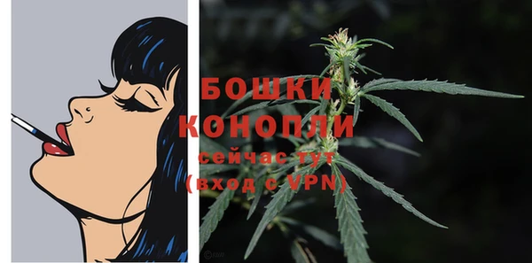 индика Касимов