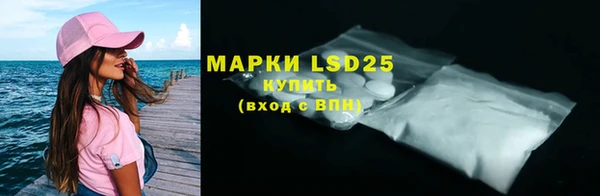 индика Касимов