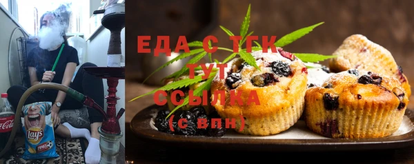 индика Касимов