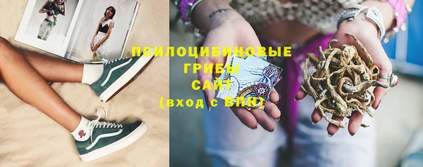 индика Касимов