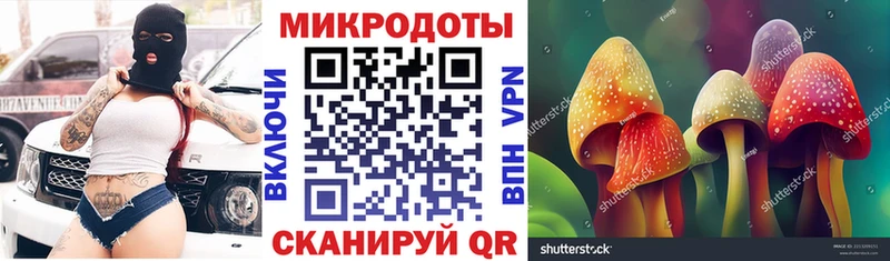 Псилоцибиновые грибы мицелий  Купить где  Суворов 